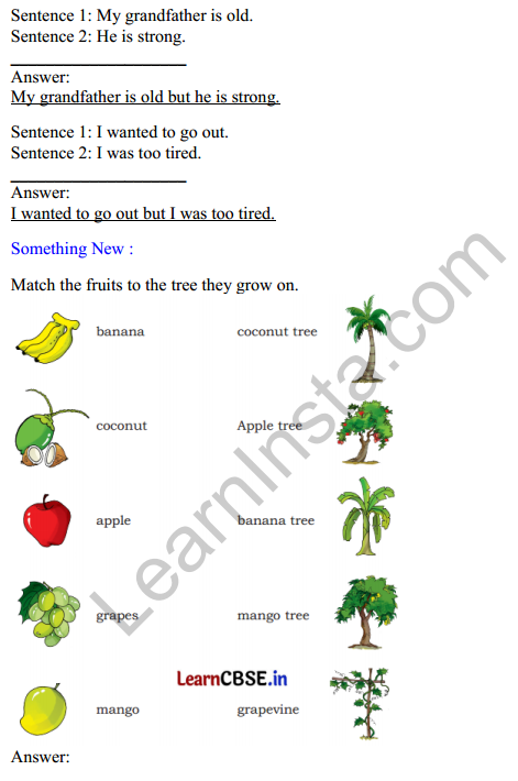 Mridang Class 2 English Solutions Chapter 13 We Are All Indians 5