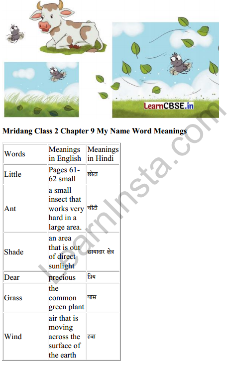 Mridang Class 2 English Solutions Chapter 9 My Name 5