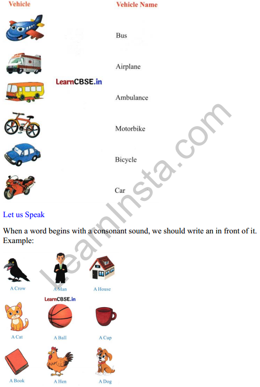 Mridang Class 2 English Worksheet Chapter 1 My Bicycle 2
