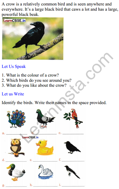 Mridang Class 2 English Worksheet Chapter 10 The Crow 1