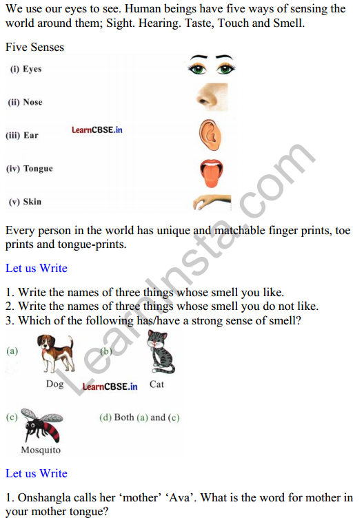 Mridang Class 2 English Worksheet Chapter 4 Seeing without Seeing 1