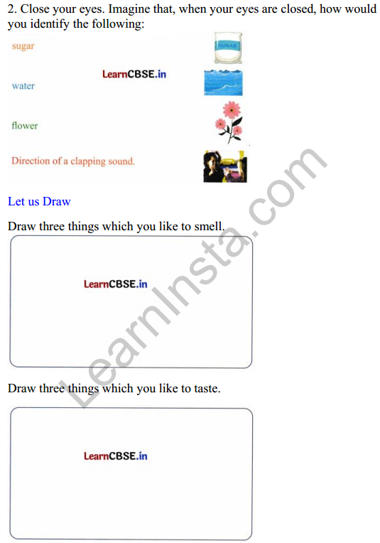 Mridang Class 2 English Worksheet Chapter 4 Seeing without Seeing 2