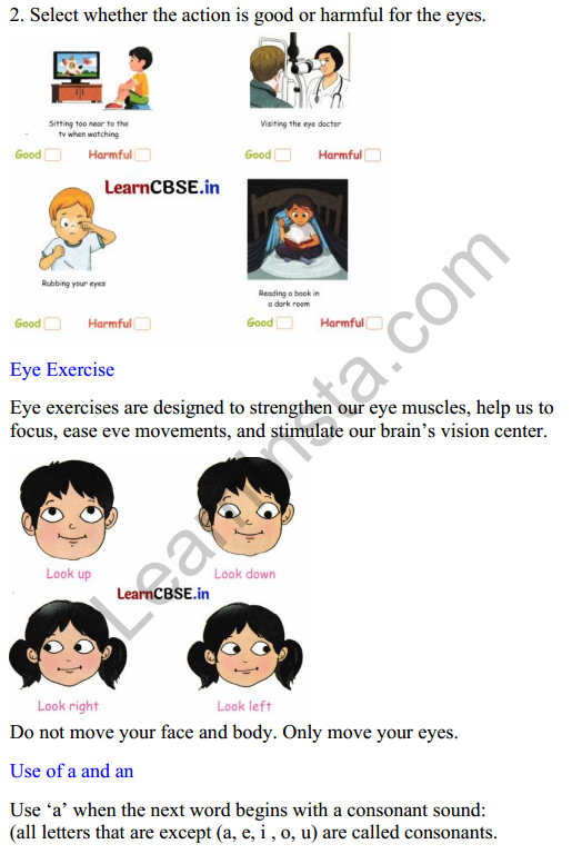 Mridang Class 2 English Worksheet Chapter 4 Seeing without Seeing 4