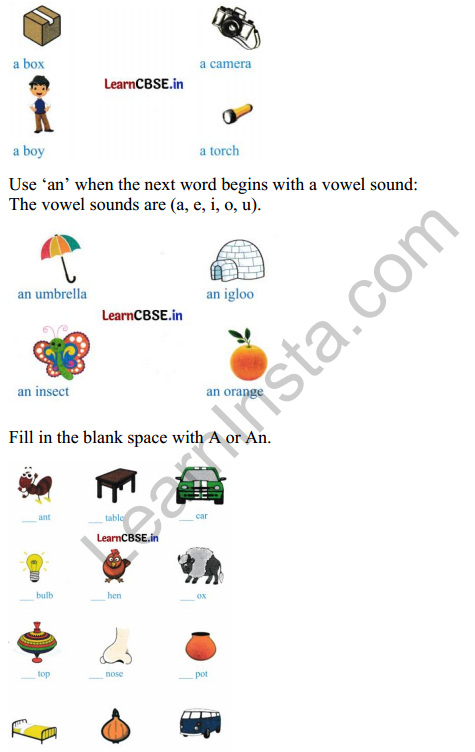 Mridang Class 2 English Worksheet Chapter 4 Seeing without Seeing 5