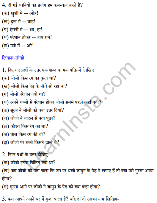 Sarangi Class 2 Hindi Worksheet Chapter 11 बैंगनी जोजो 2