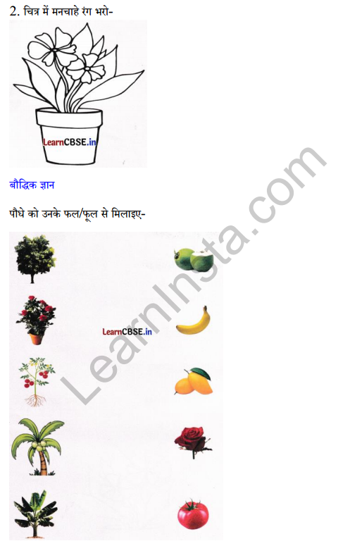 Sarangi Class 2 Hindi Worksheet Chapter 14 बीज 3
