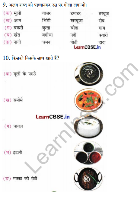 Sarangi Class 2 Hindi Worksheet Chapter 16 मूली 3