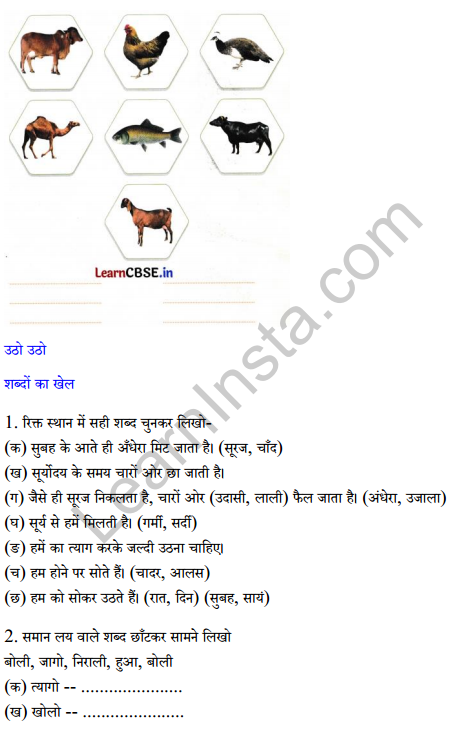Sarangi Class 2 Hindi Worksheet Chapter 17 बरसात और मेंढक 3