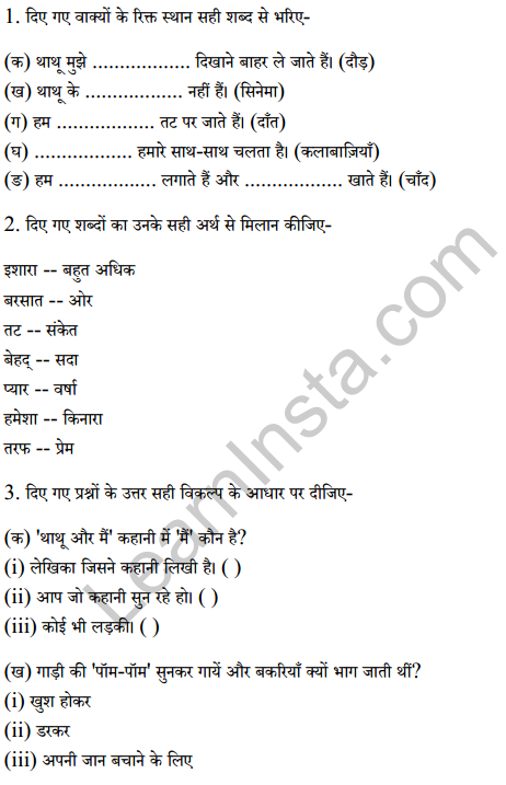 Sarangi Class 2 Hindi Worksheet Chapter 5 थाथू और मैं 3