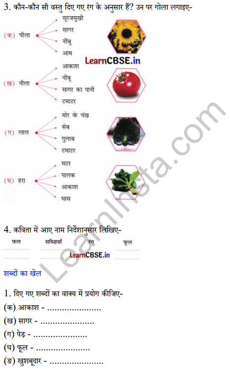 Sarangi Class 2 Hindi Worksheet Chapter 9 दुनिया रंग-बिरंगी 2