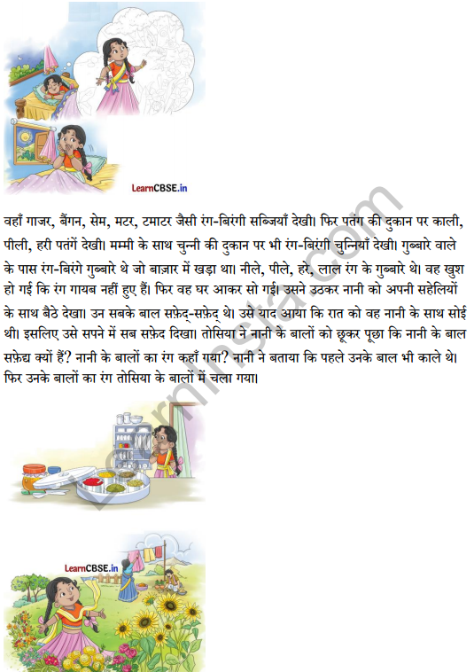 Sarangi Hindi Book Class 2 Solutions Chapter 12 तोसिया का सपना 4