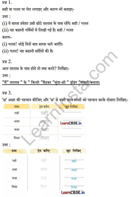 Sarangi Hindi Book Class 2 Solutions Chapter 13 तालाब 2