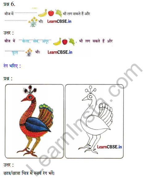 Sarangi Hindi Book Class 2 Solutions Chapter 14 बीज 2