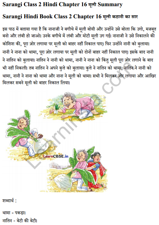 Sarangi Hindi Book Class 2 Solutions Chapter 16 मूली 3