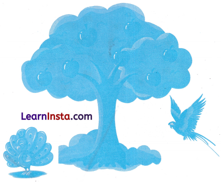 चाँद का बच्चा Class 1 Worksheet with Answers Hindi Chapter 19 5