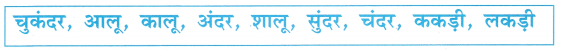 चाँद का बच्चा Class 1 Worksheet with Answers Hindi Chapter 19 7