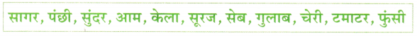 दुनिया रंग-बिरंगी Class 2 Worksheet with Answers Hindi Chapter 9 1