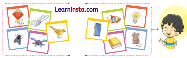 NCERT Class 3 Maths Mela Chapter 1 Question Answer What’s in a Name 16
