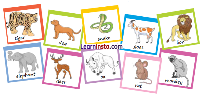 NCERT Class 3 Maths Mela Chapter 1 Question Answer What’s in a Name 3