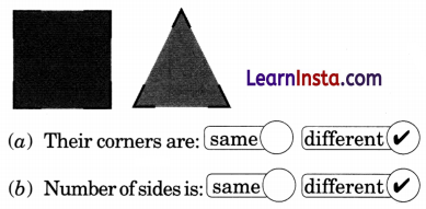 NCERT Class 3 Maths Mela Chapter 5 Question Answer Fun with Shapes 41