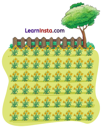 NCERT Class 3 Maths Mela Chapter 7 Question Answer Raksha Bandhan 27