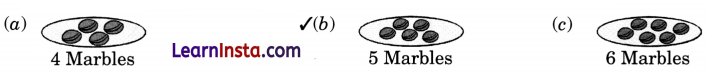 NCERT Class 3 Maths Mela Chapter 8 Question Answer Fair Share 24