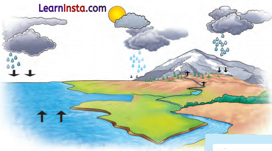 A Journey through States of Water Class 6 Extra Questions and Answers Science Chapter 8 1