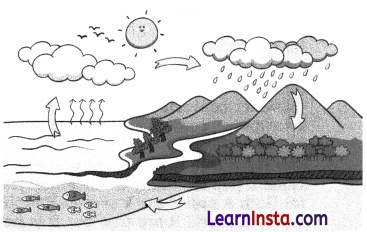 A Journey through States of Water Class 6 Extra Questions and Answers Science Chapter 8 10