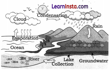 A Journey through States of Water Class 6 Extra Questions and Answers Science Chapter 8 11