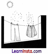 A Journey through States of Water Class 6 Extra Questions and Answers Science Chapter 8 4