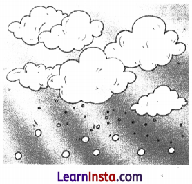 A Journey through States of Water Class 6 Extra Questions and Answers Science Chapter 8 6
