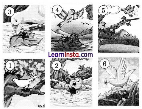 class 3rd english chapter 2 badal and moti question answer