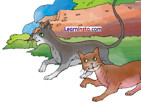 Best Friends Class 3 Question Answer NCERT Solutions Class 3 English Chapter 3 10