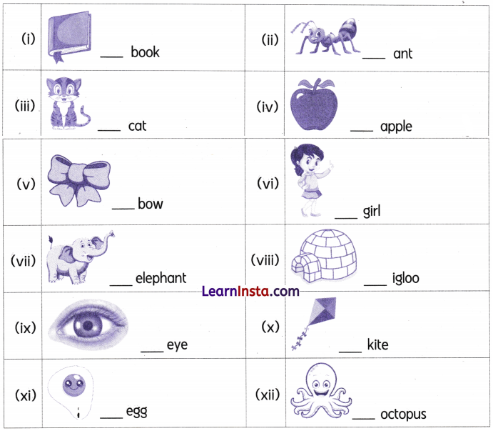 Best Friends Class 3 Worksheet English Chapter 3 3