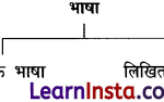CBSE Class 6 Hindi Grammar भाषा और व्याकरण 1