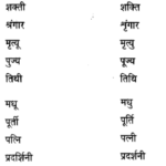 CBSE Class 6 Hindi Grammar वर्तनी 1