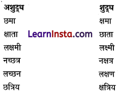 CBSE Class 6 Hindi Grammar वर्तनी 11