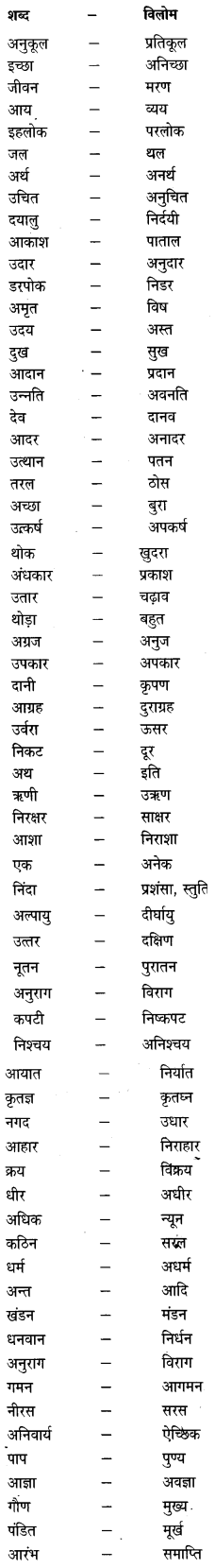 CBSE Class 6 Hindi Grammar शब्द-भंडार 2