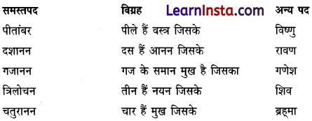 CBSE Class 6 Hindi Grammar समास 4