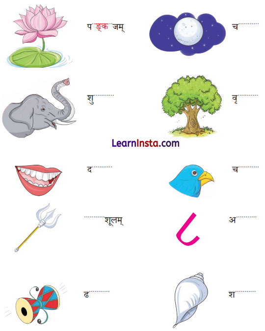 Class 6 Sanskrit Chapter 1 Question Answer Solutions वयं वर्णमालां पठामः 2