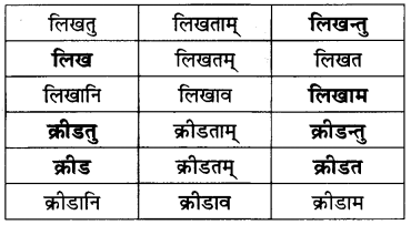 Class 6 Sanskrit Chapter 10 Question Answer Solutions त्वम् आपणं गच्छ 2