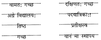 Class 6 Sanskrit Chapter 10 Question Answer Solutions त्वम् आपणं गच्छ 9