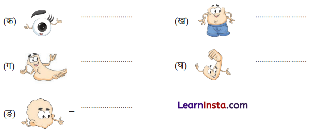 Class 6 Sanskrit Chapter 14 Question Answer Solutions माधवस्य प्रियम् अङ्गम् 1