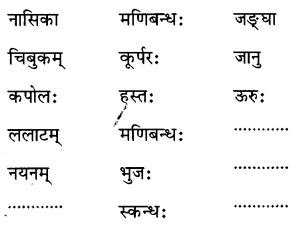 Class 6 Sanskrit Chapter 14 Question Answer Solutions माधवस्य प्रियम् अङ्गम् 6