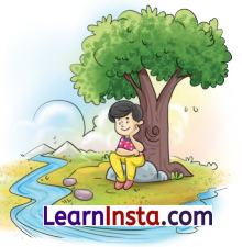 Class 6 Sanskrit Chapter 15 Question Answer Solutions वृक्षाः सत्पुरुषाः इव 1