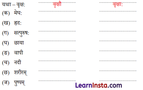 Class 6 Sanskrit Chapter 15 Question Answer Solutions वृक्षाः सत्पुरुषाः इव 5