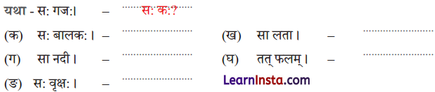 Class 6 Sanskrit Chapter 2 Question Answer Solutions एषः कः एषा का एतत् किम् 12