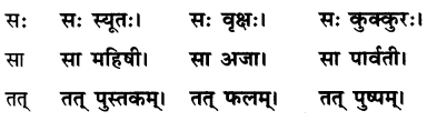Class 6 Sanskrit Chapter 2 Question Answer Solutions एषः कः एषा का एतत् किम् 4