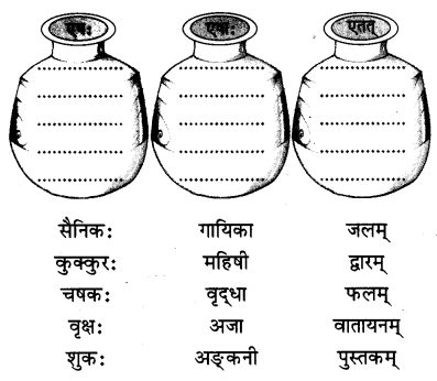 Class 6 Sanskrit Chapter 2 Question Answer Solutions एषः कः एषा का एतत् किम् 9