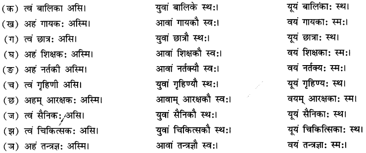 Class 6 Sanskrit Chapter 3 Question Answer Solutions अहं च त्वं च 7